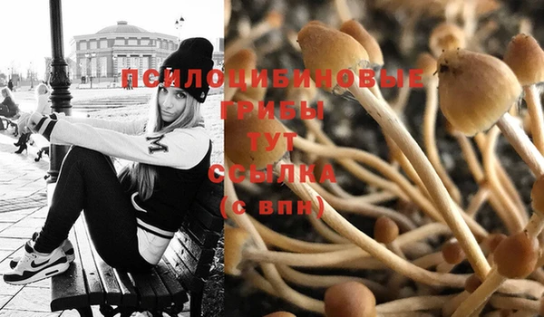 jwh Абинск