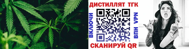 darknet наркотические препараты  OMG сайт  Тотьма  ТГК гашишное масло 