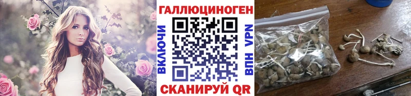 кракен   Тотьма  Псилоцибиновые грибы мухоморы 